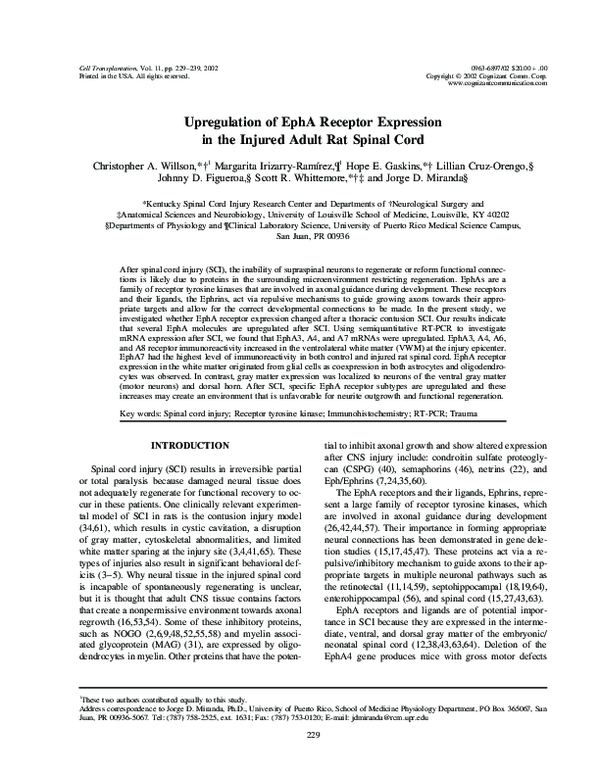 (PDF) Upregulation of EphA Receptor Expression in the Injured Adult Rat ...