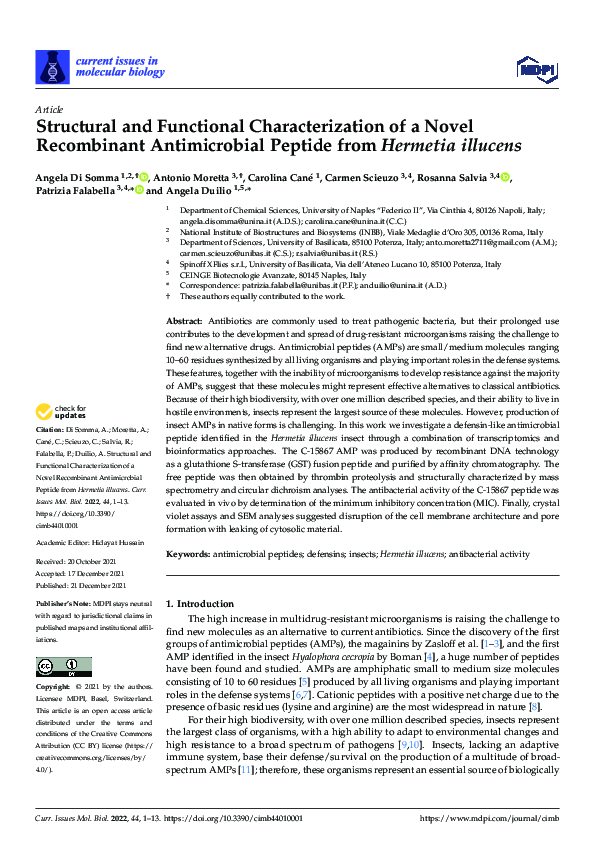 (PDF) Structural and Functional Characterization of a Novel Recombinant ...