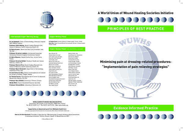 (PDF) Minimising pain at wound dressing-related procedures. A consensus ...