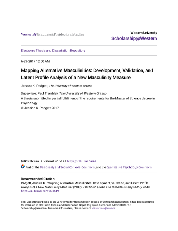 (PDF) Mapping Alternative Masculinities: Development, Validation, and ...
