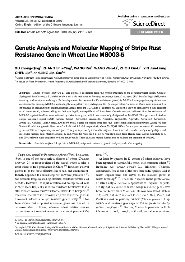(PDF) Genetic Analysis and Molecular Mapping of Stripe Rust Resistance ...
