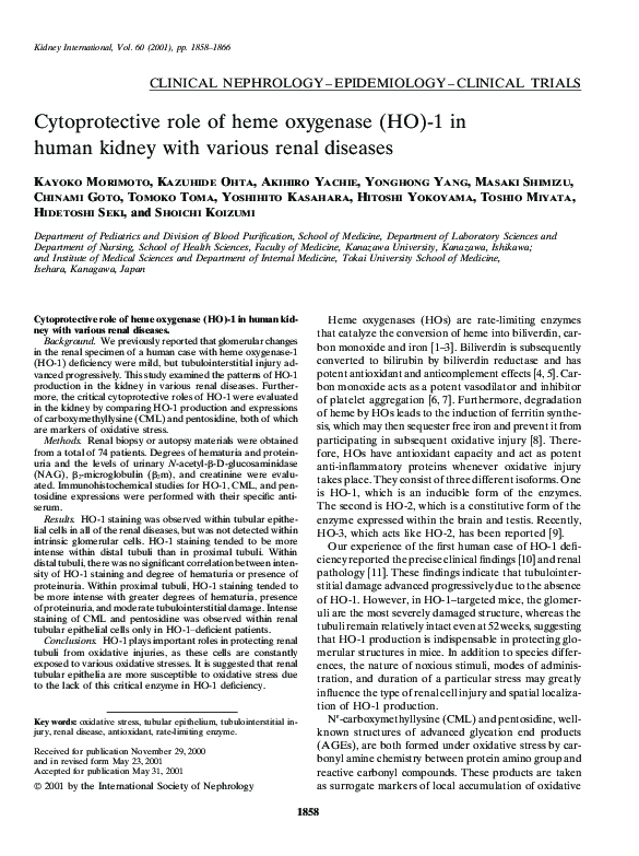 (PDF) Cytoprotective role of heme oxygenase (HO)-1 in human kidney with ...