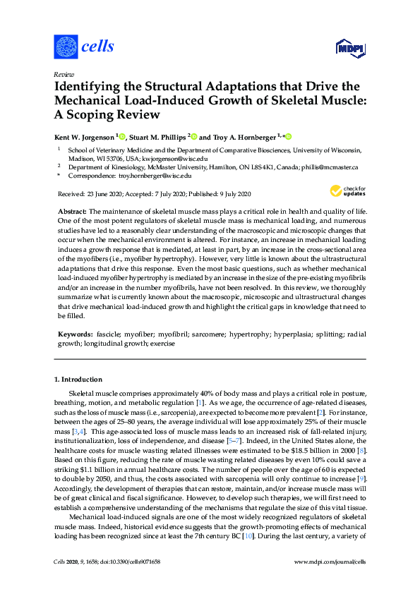 (PDF) Identifying the Structural Adaptations that Drive the Mechanical ...