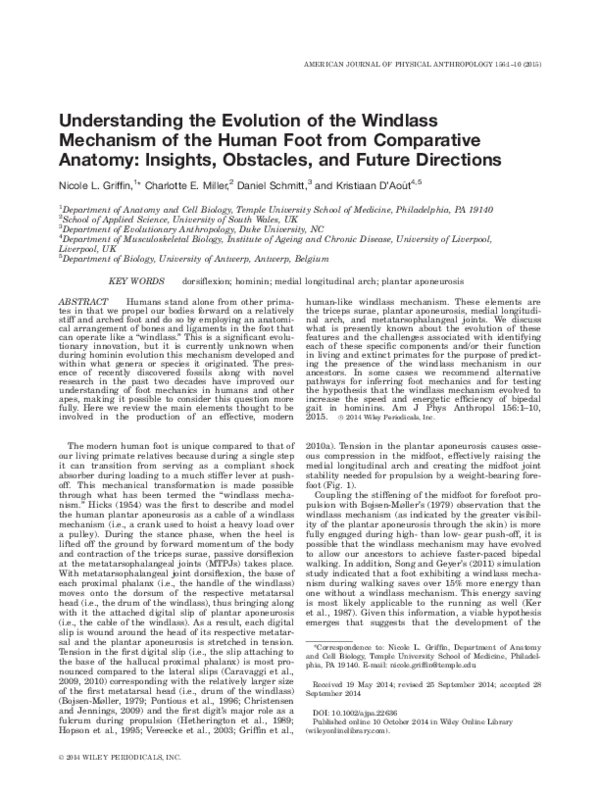 (PDF) Understanding the evolution of the windlass mechanism of the