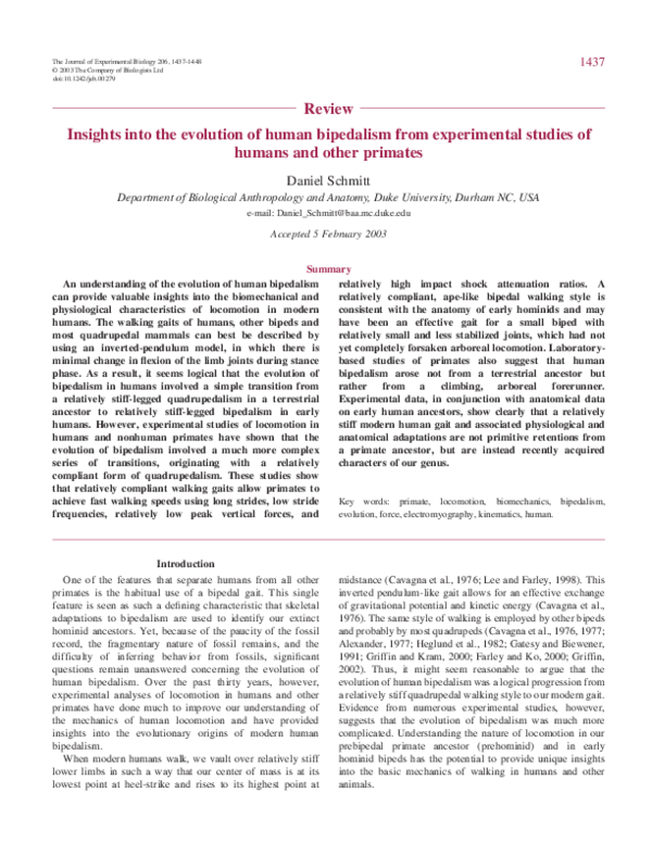 (PDF) Insights into the evolution of human bipedalism from experimental ...