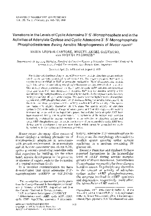 (PDF) Variations in the levels of cyclic adenosine 3′:5′-monophosphate ...