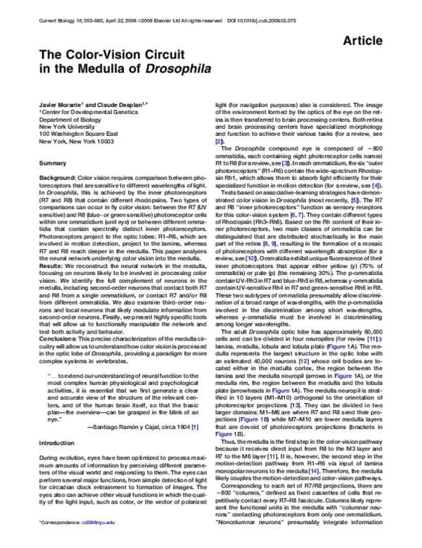 (PDF) The Color-Vision Circuit in the Medulla of Drosophila