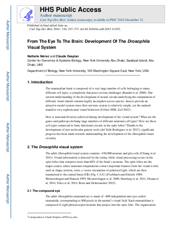 (PDF) From the Eye to the Brain: Development of the Drosophila Visual ...