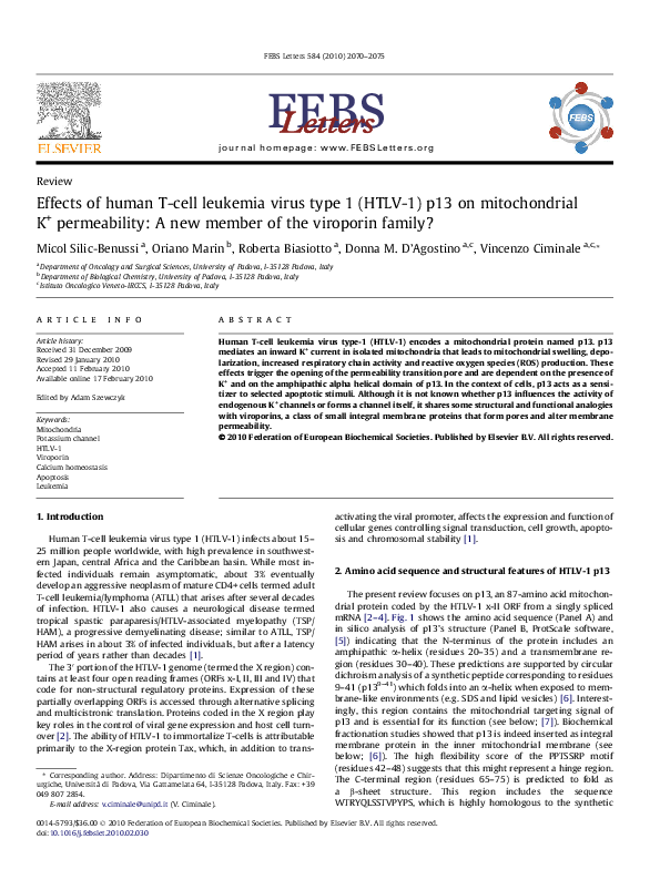 (PDF) Effects of human T-cell leukemia virus type 1 (HTLV-1) p13 on ...