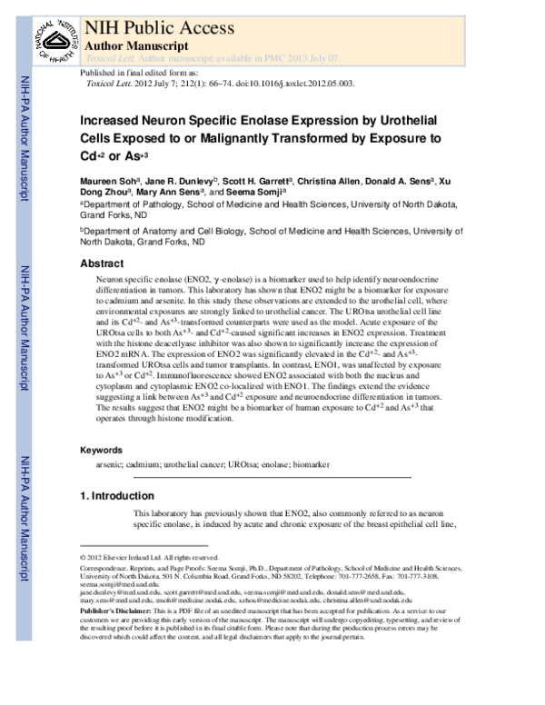 (PDF) Increased neuron specific enolase expression by urothelial cells ...