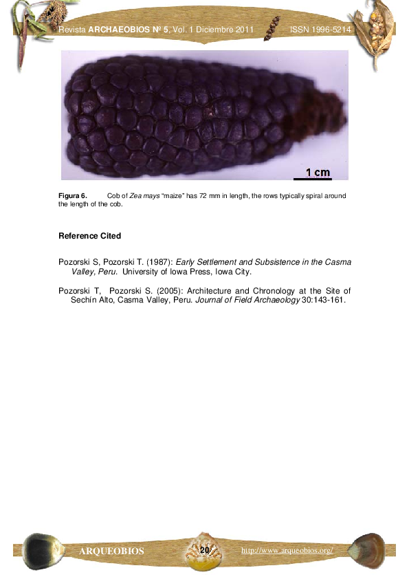 (PDF) Ancient nucleic acids from maize: a review
