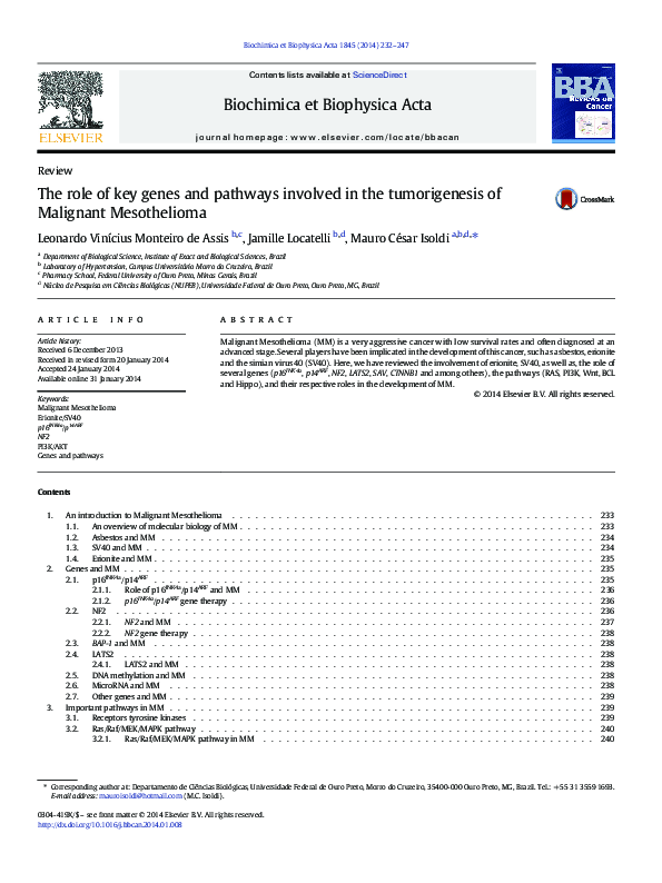 (PDF) The role of key genes and pathways involved in the tumorigenesis ...