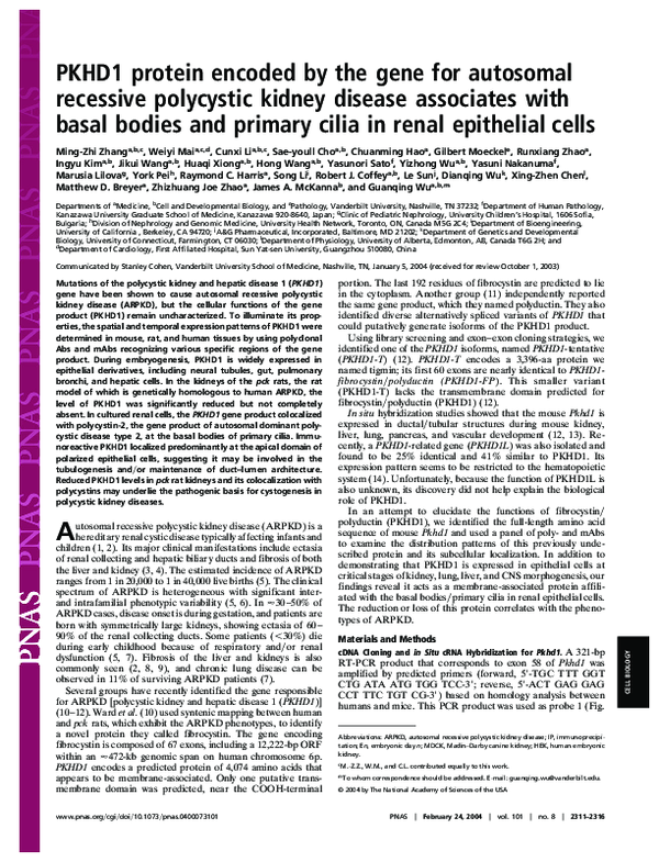 PKHD1 protein encoded by the gene for autosomal recessive polycystic kidney disease associates with basal bodies and primary cilia in renal epithelial cells