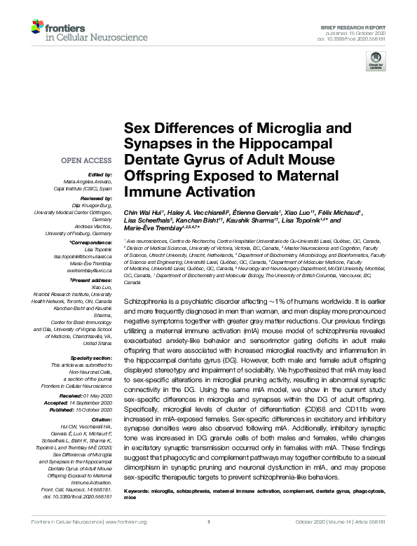 (PDF) Sex Differences of Microglia and Synapses in the Hippocampal ...