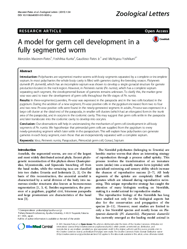 (PDF) A model for germ cell development in a fully segmented worm