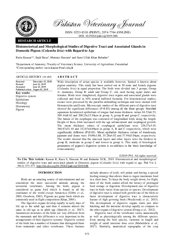 (PDF) Adaptive Cruise Control System for an Electric Vehicle Using a ...