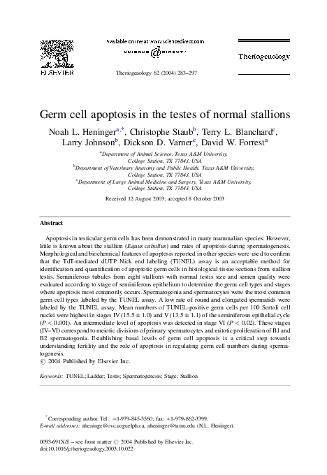 (PDF) Germ cell apoptosis in the testes of normal stallions