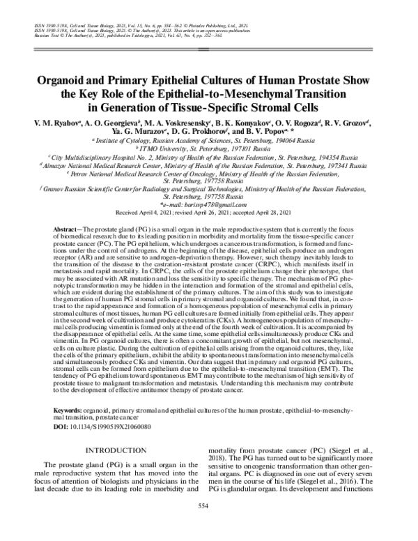 (PDF) Organoid and Primary Epithelial Cultures of Human Prostate Show ...