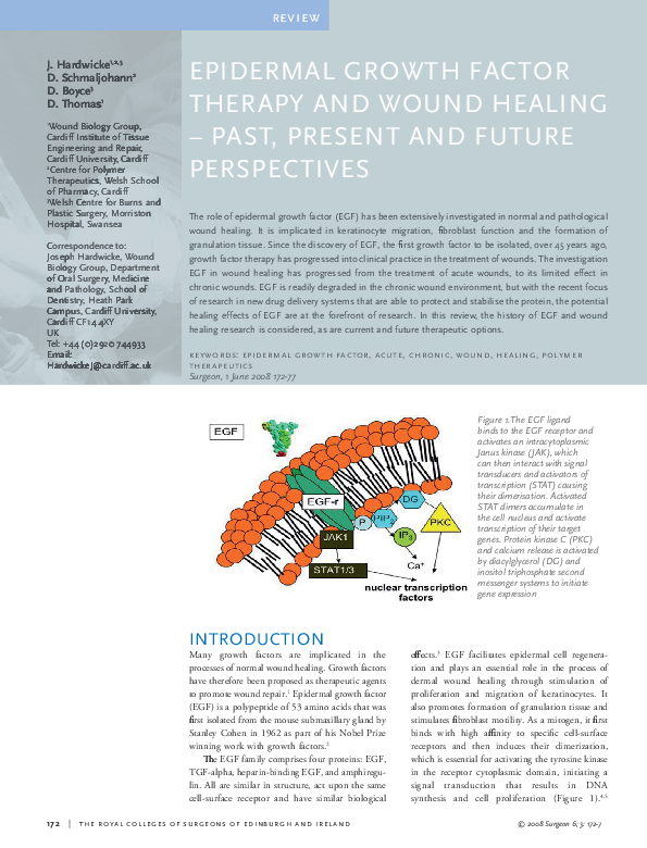 (PDF) Epidermal growth factor therapy and wound healing — past, present ...