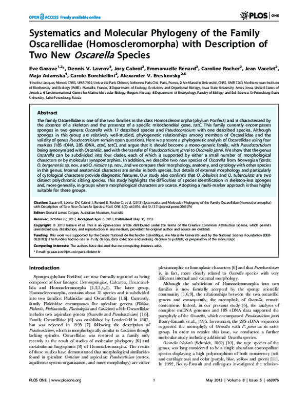 (PDF) Systematics and Molecular Phylogeny of the Family Oscarellidae ...