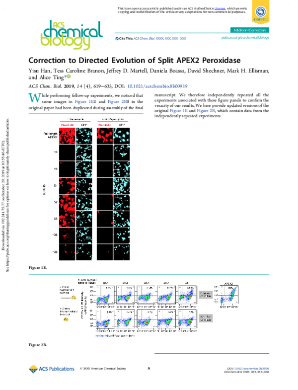 (PDF) Correction to Directed Evolution of Split APEX2 Peroxidase