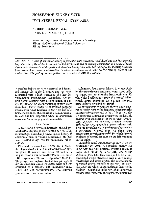 (PDF) Horseshoe kidney with unilateral renal dysplasia Mitzi