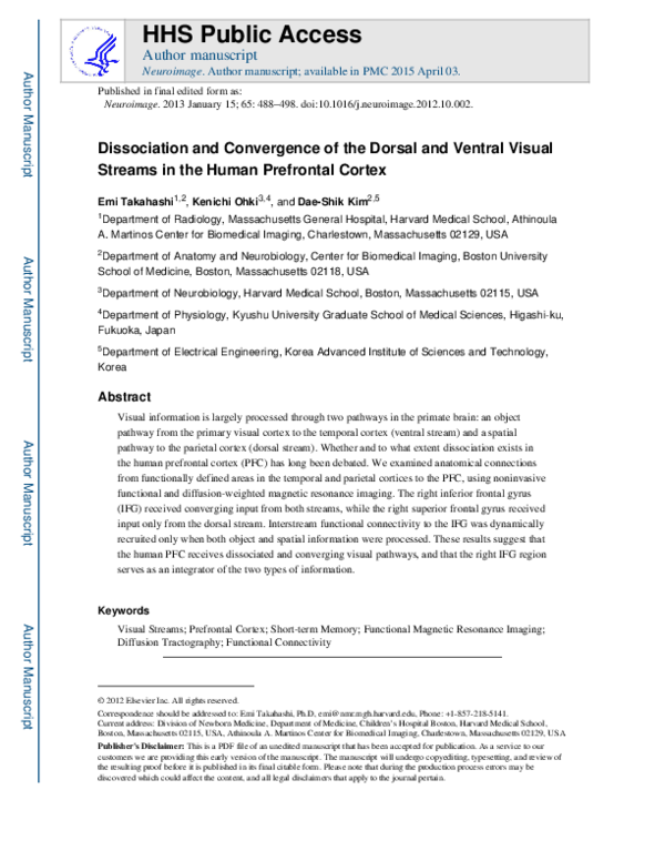 (PDF) Dissociation and convergence of the dorsal and ventral visual ...