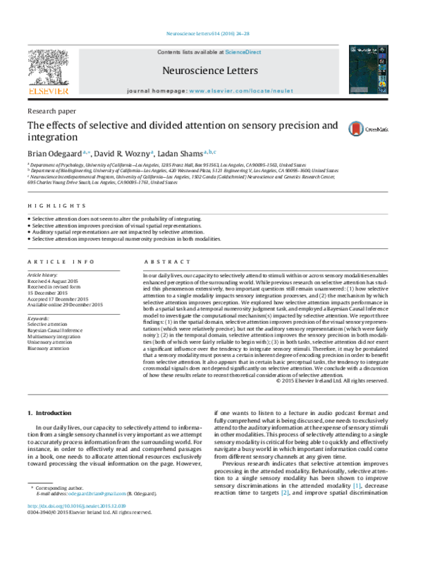 (PDF) The effects of selective and divided attention on sensory ...