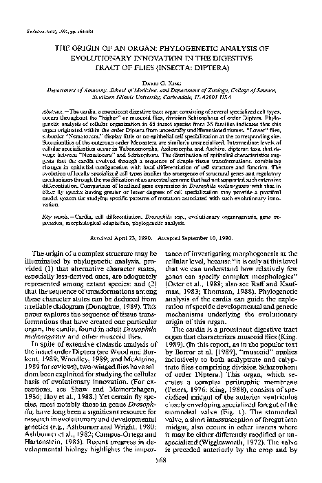 (PDF) The Origin of an Organ: Phylogenetic Analysis of Evolutionary ...