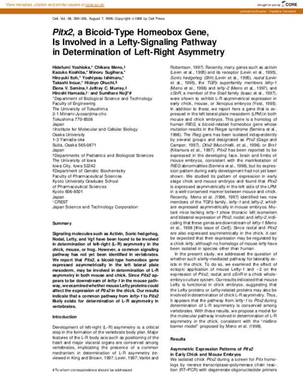 (PDF) Pitx2, a Bicoid-Type Homeobox Gene, Is Involved in a Lefty ...