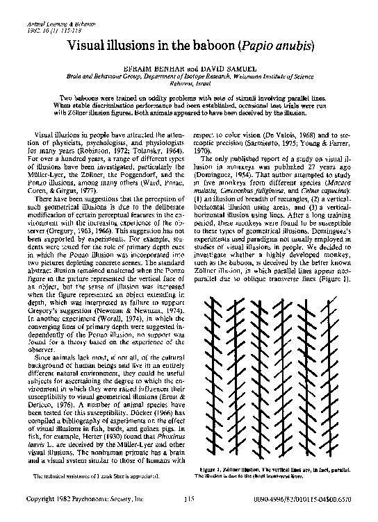 (PDF) Visual illusions in the baboon (Papio anubis)