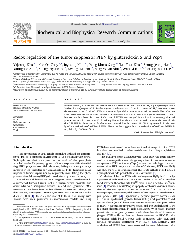 (PDF) Redox regulation of the tumor suppressor PTEN by glutaredoxin 5 ...