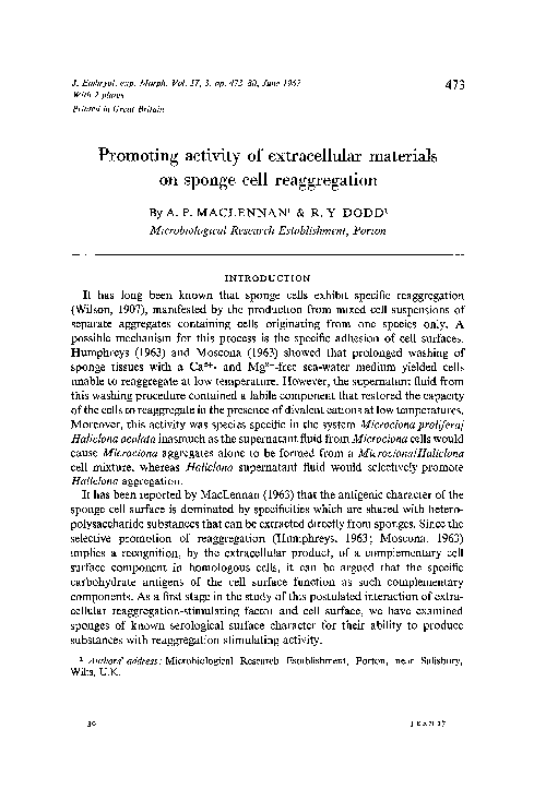(PDF) Promoting activity of extracellular materials on sponge cell ...