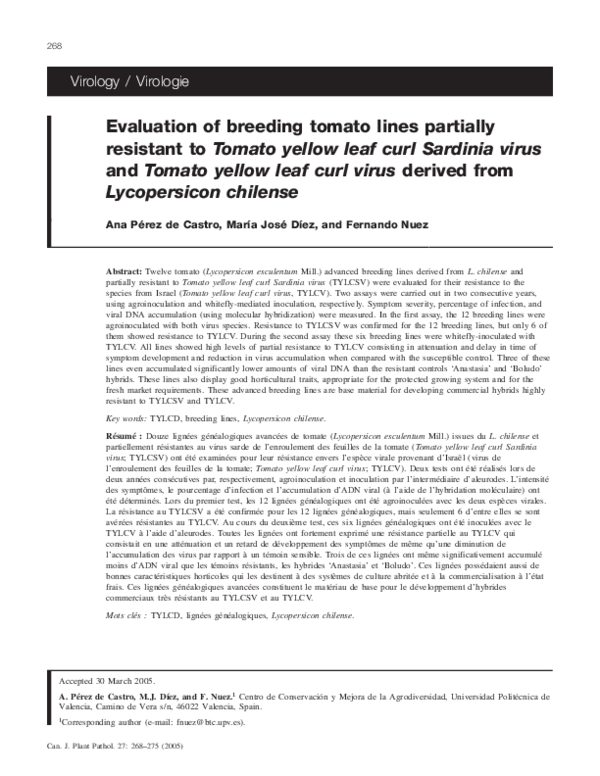 (PDF) Evaluation of breeding tomato lines partially resistant to Tomato ...