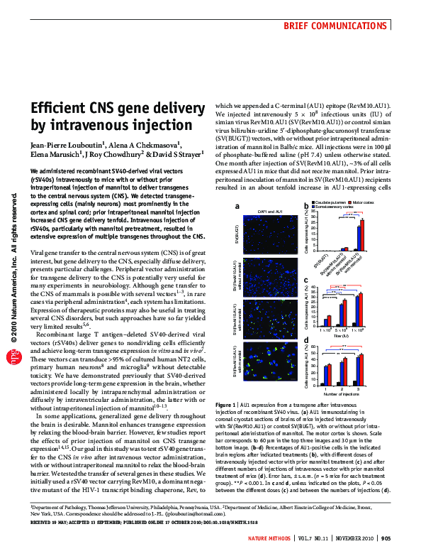 (PDF) Efficient CNS gene delivery by intravenous injection