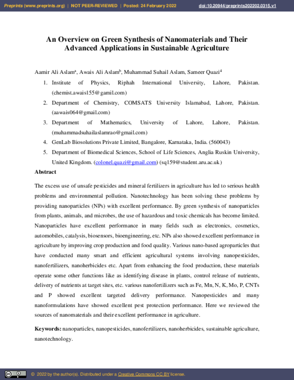 (PDF) An Overview on Green Synthesis of Nanomaterials and Their ...