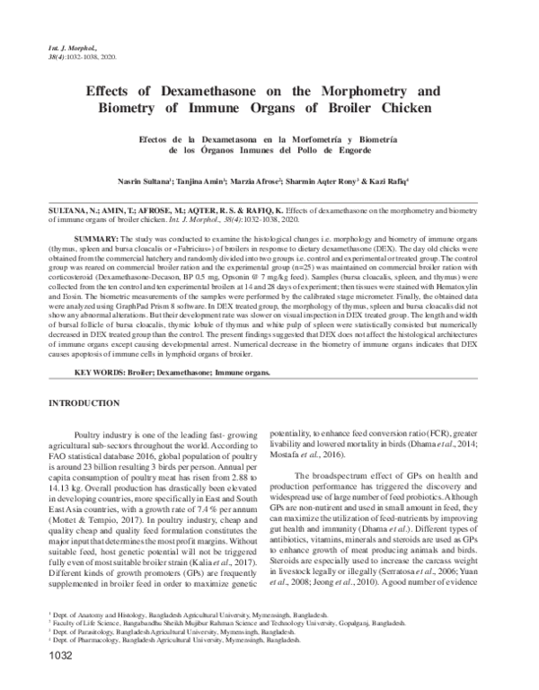 (PDF) Effects of Dexamethasone on the Morphometry and Biometry of ...