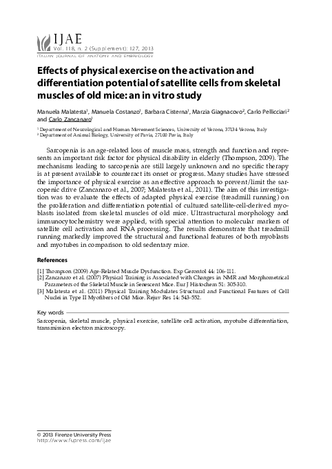 (PDF) Effects of physical exercise on the activation and ...