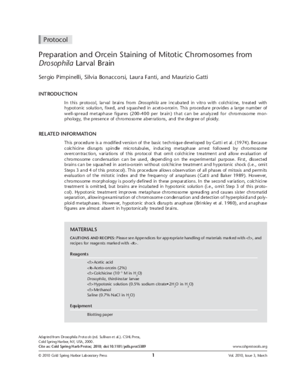 (PDF) Preparation and orcein staining of mitotic chromosomes from