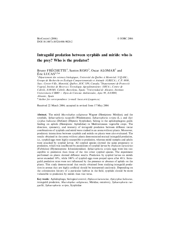 (PDF) Intraguild predation between syrphids and mirids: who is the prey ...