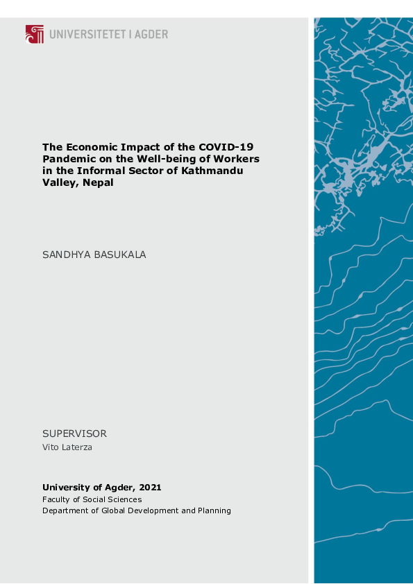 (PDF) The Economic Impact of the COVID-19 Pandemic on the Well-being of ...