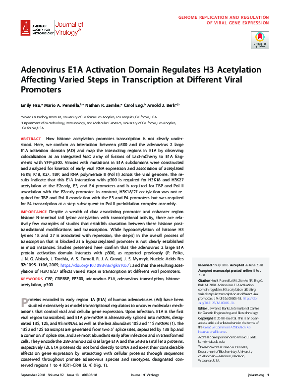 (PDF) Adenovirus E1A Activation Domain Regulates H3 Acetylation ...