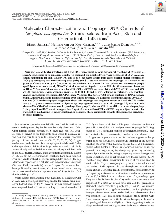 (PDF) Molecular Characterization and Prophage DNA Contents of ...