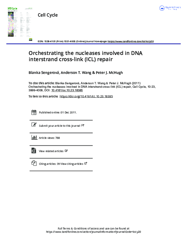 (PDF) Orchestrating the nucleases involved in DNA interstrand cross ...