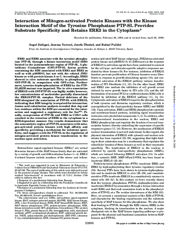 (PDF) Interaction of Mitogen-activated Protein Kinases with the Kinase ...
