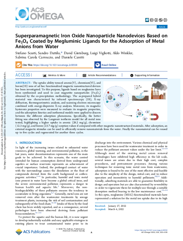 (PDF) Superparamagnetic Iron Oxide Nanoparticle Nanodevices Based on ...
