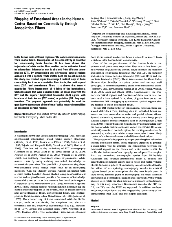 (PDF) Mapping of Functional Areas in the Human Cortex Based on ...