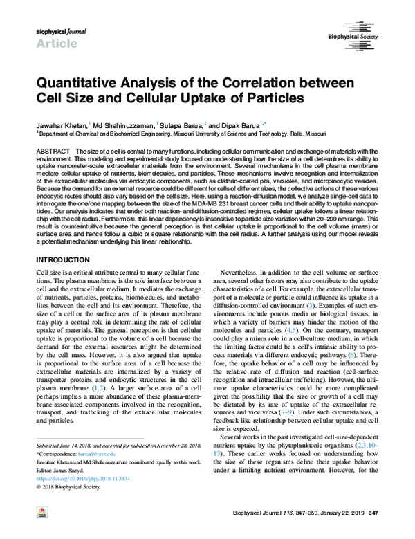 (PDF) Quantitative analysis of the correlation between cell size and ...