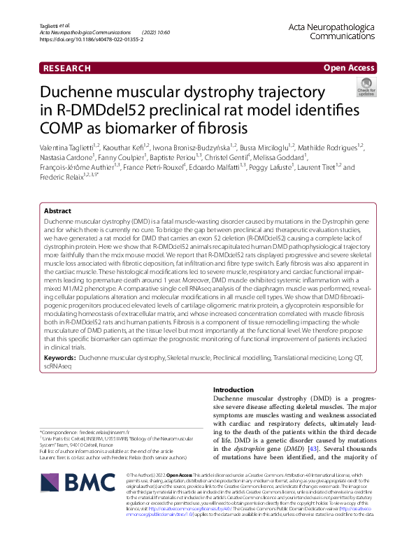 (PDF) Duchenne muscular dystrophy trajectory in R-DMDdel52 preclinical ...
