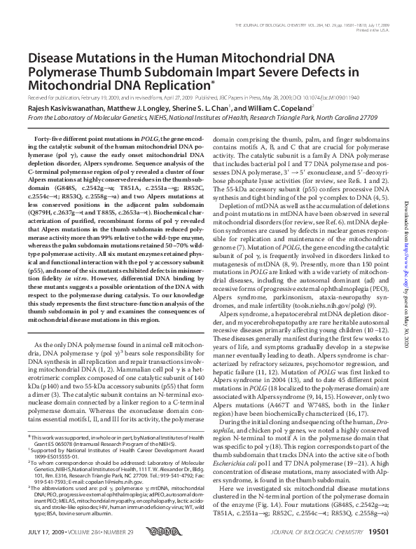 (PDF) Disease Mutations in the Human Mitochondrial DNA Polymerase Thumb ...